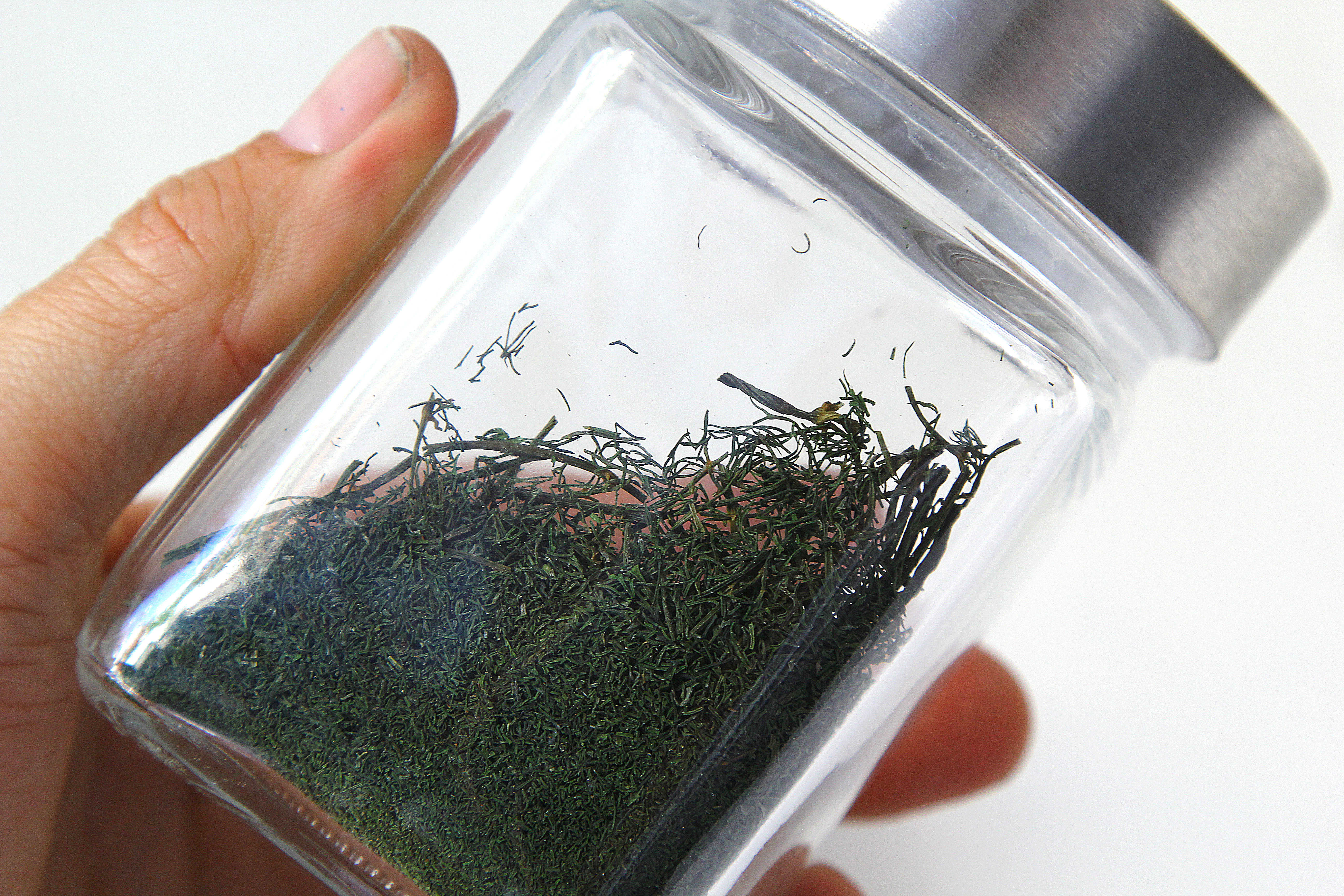 Easy Ways to Dry Dill and Enjoy Fresh Flavor All Year