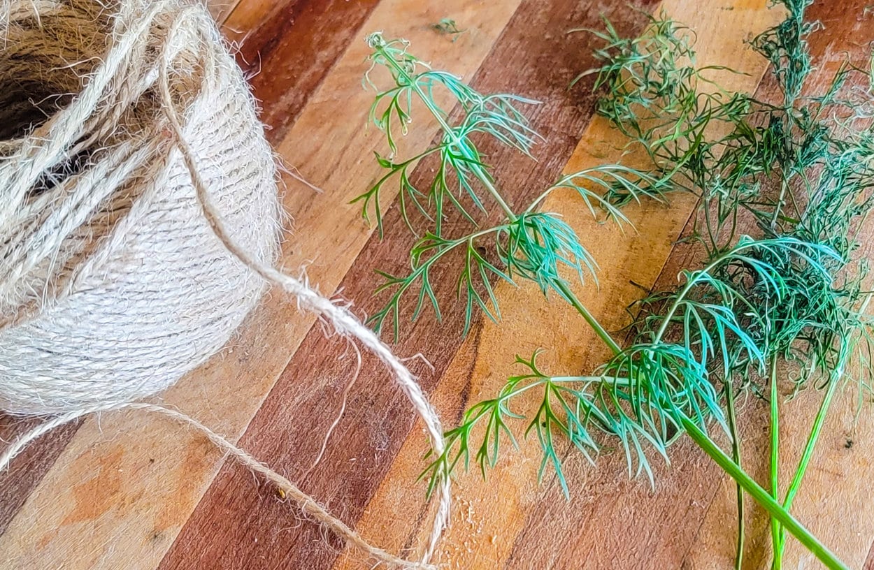 Preserve Your Dill Harvest: Dehydrator, Oven, and Air Methods